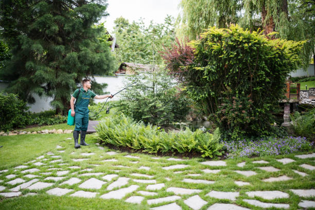 Best Lawn Grading and Leveling  in New Sharon, IA